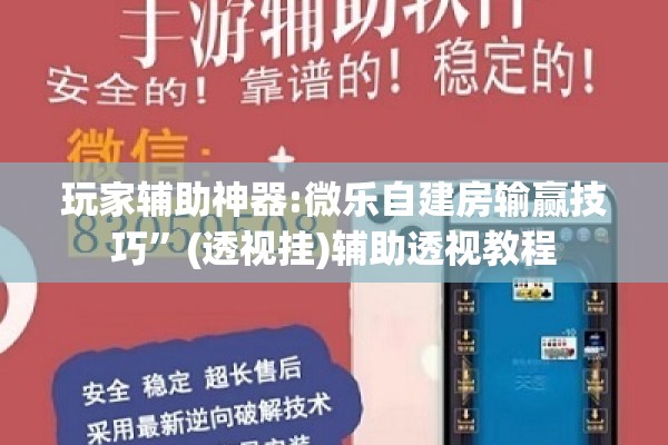 玩家辅助神器:微乐自建房输赢技巧”(透视挂)辅助透视教程