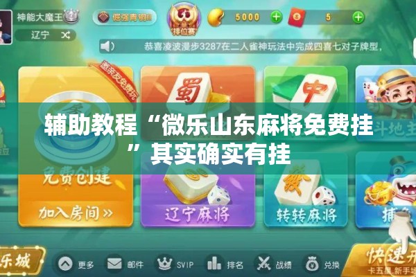 辅助教程“微乐山东麻将免费挂	”其实确实有挂