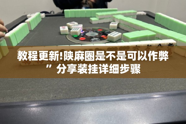 教程更新!陕麻圈是不是可以作弊”分享装挂详细步骤
