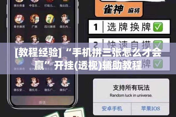 安装程序教程“微乐陕西三代怎么能赢”开挂(透视)辅助神器
