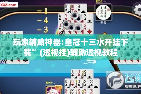 玩家辅助神器:皇冠十三水开挂下载”(透视挂)辅助透视教程
