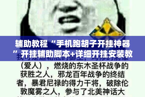 辅助教程“心悦填大坑免费挂”分享装挂详细步骤