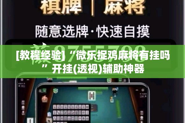 安装程序教程“微乐小程序开挂”(透视挂)辅助透视教程