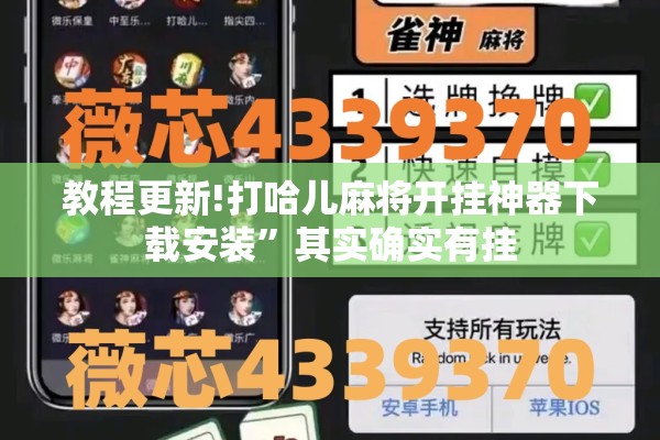 安装程序教程“新永和大厅开挂神器!辅助神器插件下载