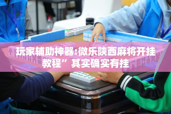 玩家辅助神器:微乐陕西麻将开挂教程	”其实确实有挂