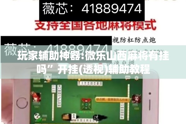 玩家辅助神器:微乐山西麻将有挂吗”开挂(透视)辅助教程