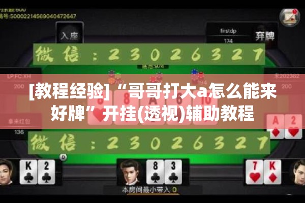 安装程序教程“方片十三张如何拿好牌”开挂辅助脚本+详细开挂安装教程