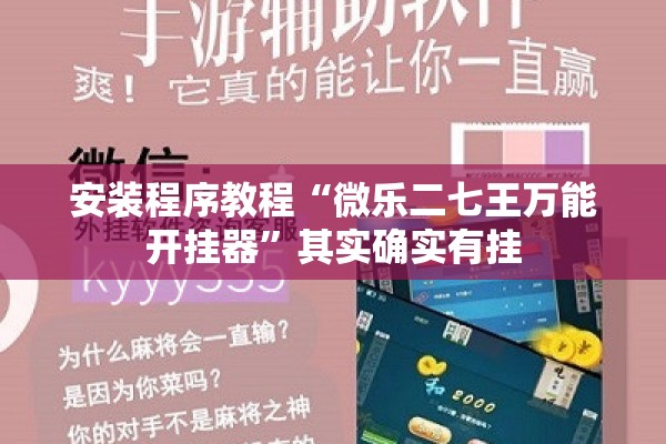 安装程序教程“微乐二七王万能开挂器”其实确实有挂