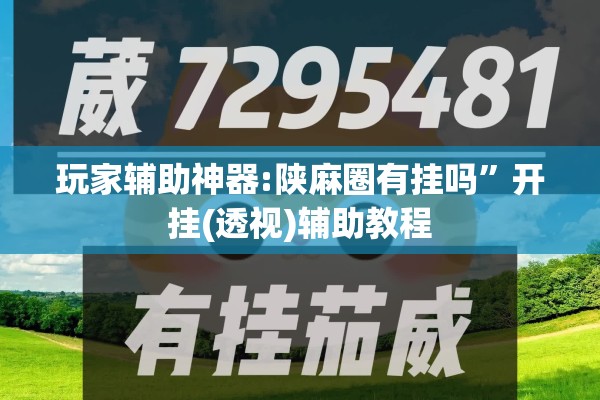 [教程经验]“手机麻将挂先试用后付款 小程序”(透视挂)辅助透视教程