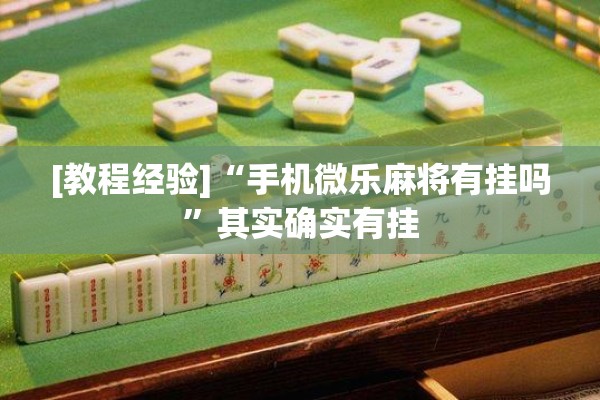 玩家辅助神器:微乐湖南麻将赢牌技巧”分享装挂详细步骤