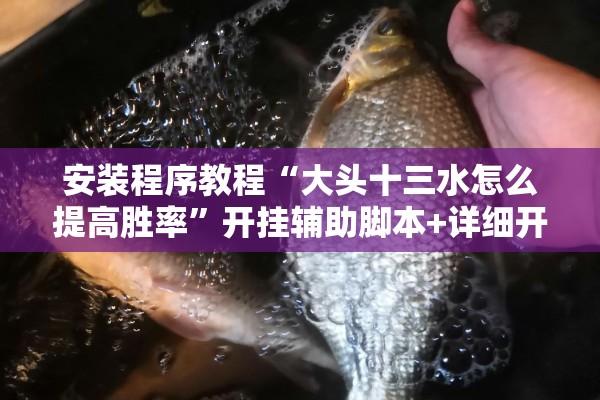 安装程序教程“大头十三水怎么提高胜率”开挂辅助脚本+详细开挂安装教程
