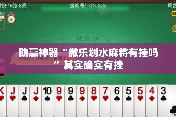 辅助教程“微乐免费房间谁开谁输”(透视挂)辅助透视教程