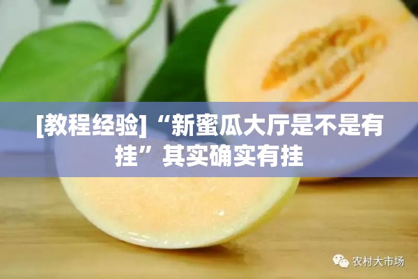 [教程经验]“新蜜瓜大厅是不是有挂”其实确实有挂