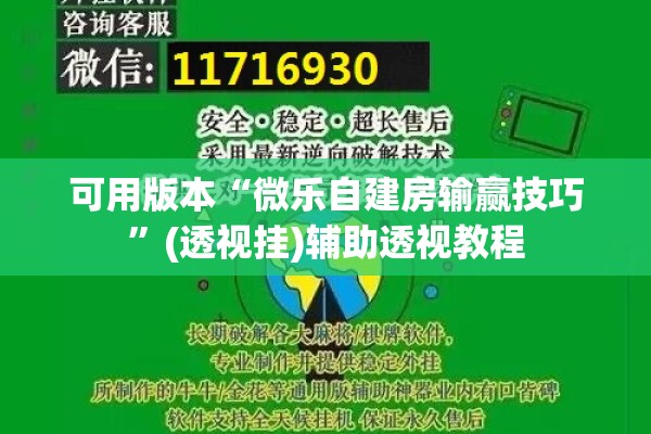 可用版本“微乐自建房输赢技巧	”(透视挂)辅助透视教程