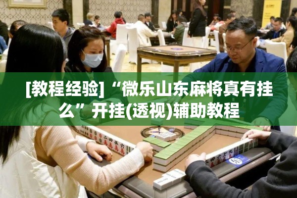 [教程经验]“微乐山东麻将真有挂么	”开挂(透视)辅助教程