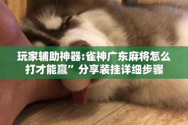 辅助教程“微乐湖南麻将赢牌技巧”开挂辅助脚本+详细开挂安装教程